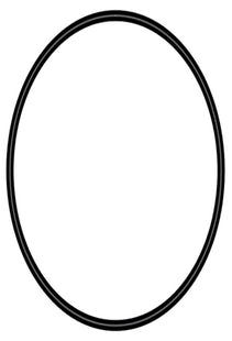 Sera O-Ring für CO2 für 500 g - Ersatzteil für Aquarium Zubehör