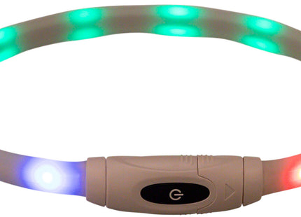Bunter USB-LED-Leuchtring für Hunde, sicher und stylisch bei Nacht
