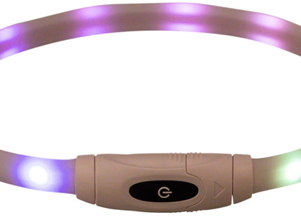 Bunter USB-LED-Leuchtring für Hunde, sicher und stylisch bei Nacht