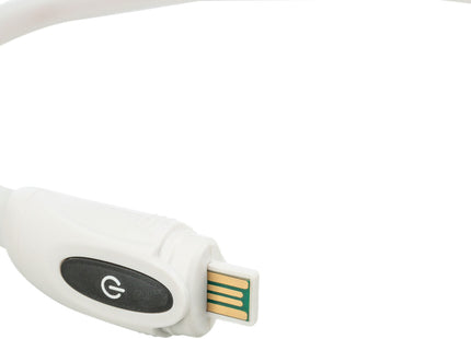 Bunter USB-LED-Leuchtring für Hunde, sicher und stylisch bei Nacht