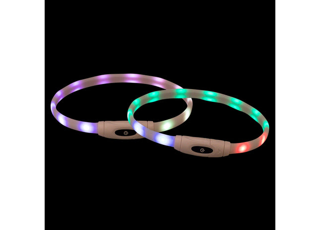 Bunter USB-LED-Leuchtring für Hunde, sicher und stylisch bei Nacht
