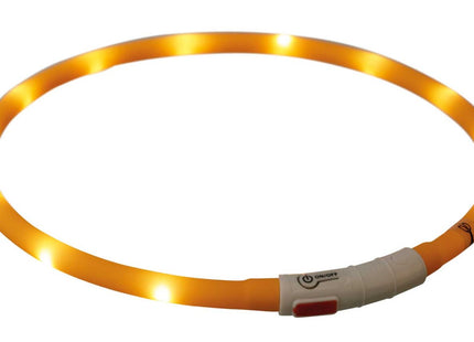 Leuchtender USB-Silikonring für Hunde in Orange