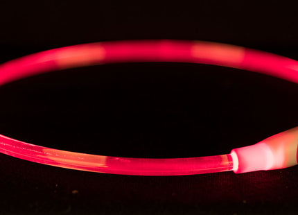 Roter USB-LED-Leuchtring für Hunde von Trixie