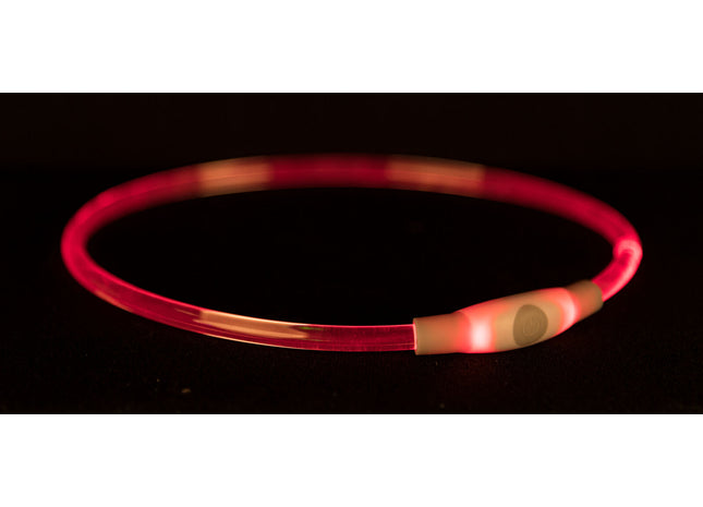 Leuchtender USB-Multicolor-Ring von Trixie für sicheres Gassi gehen