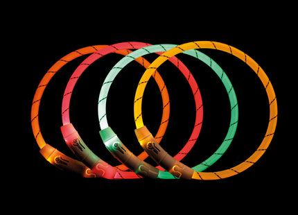 Leuchtender USB-Halsring für Hunde in Orange von Trixie