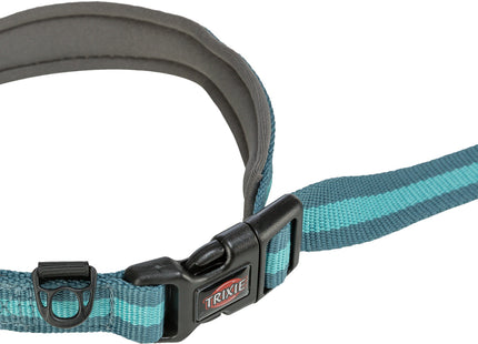 Joggingleine für Hunde, 1,33-1,80m lang, 20mm breit, in Petrol/Aqua-Farben
