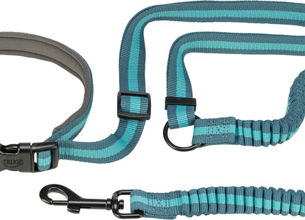 Joggingleine für Hunde, 1,33-1,80m lang, 20mm breit, in Petrol/Aqua-Farben