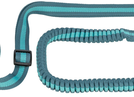 Joggingleine für Hunde, 1,33-1,80m lang, 20mm breit, in Petrol/Aqua-Farben
