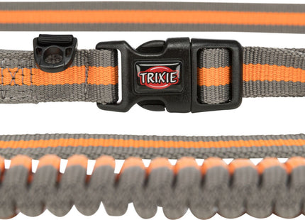 Joggingleine für Hunde, 1,33-1,80m lang, 20mm breit, in Petrol/Aqua-Farben