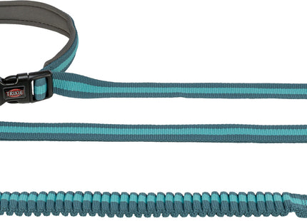 Joggingleine für Hunde, 1,33-1,80m lang, 20mm breit, in Petrol/Aqua-Farben