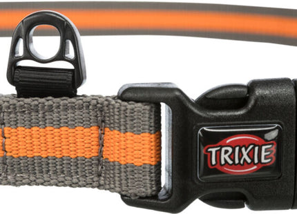 Joggingleine für Hunde, 1,33-1,80m lang, 20mm breit, in Petrol/Aqua-Farben