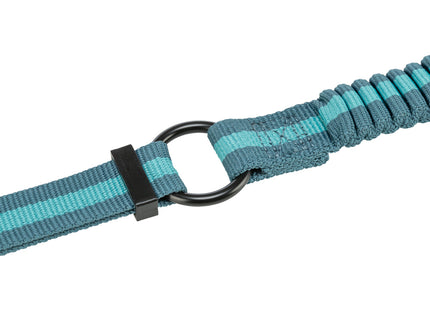 Joggingleine für Hunde, 1,33-1,80m lang, 20mm breit, in Petrol/Aqua-Farben