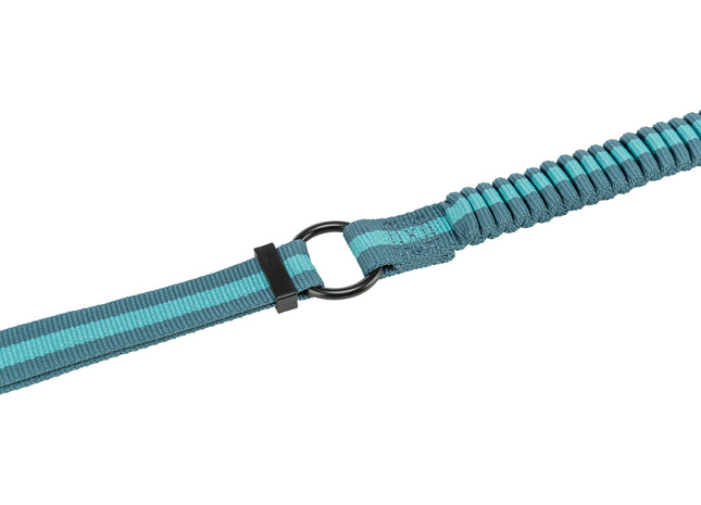 Joggingleine für Hunde, 1,33-1,80m lang, 20mm breit, in Petrol/Aqua-Farben