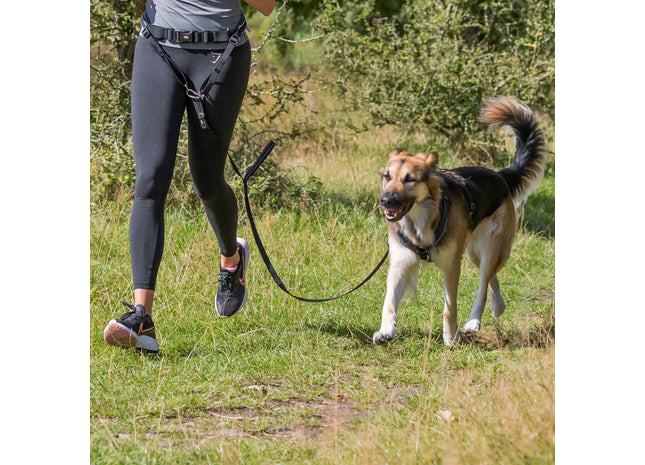 Bequemer Bauchgurt mit Leine für entspannte Spaziergänge mit Ihrem Hund
