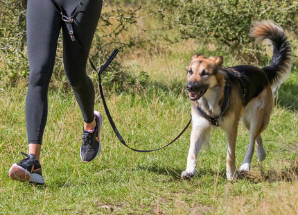 Bequemer Bauchgurt mit Leine für entspannte Spaziergänge mit Ihrem Hund