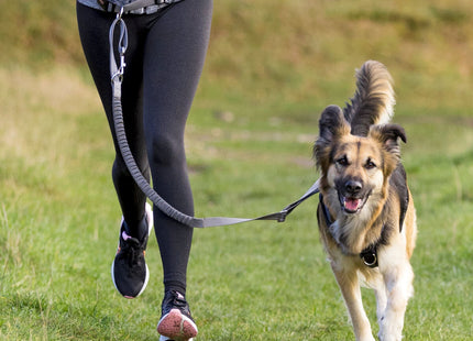 Bauchgurt mit Leine für Hunde, Nylon, 75-120cm, Graphitschwarz