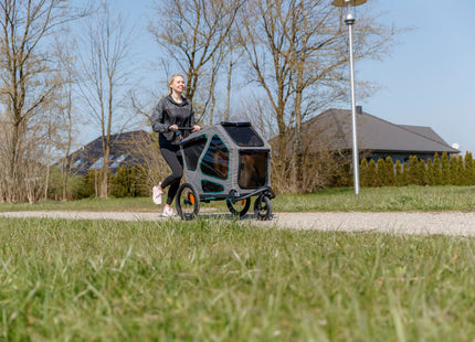 Praktischer Fahrradanhänger von Trixie in Grau für entspannte Ausflüge mit Ihrem Vierbeiner