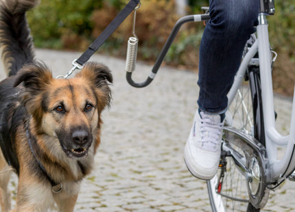 Praktisches Biker-Set in Graphit, Grösse XL, von Trixie für entspannte Ausflüge mit Ihrem Hund