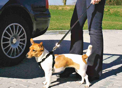 Sicherheitsgeschirr für Hunde in elegantem Schwarz