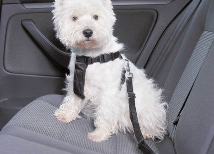 Sicherheitsgeschirr für Hunde in elegantem Schwarz