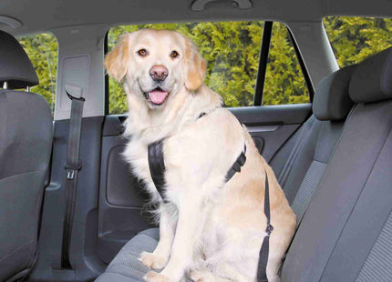 Sicherheitsgeschirr für Hunde in elegantem Schwarz