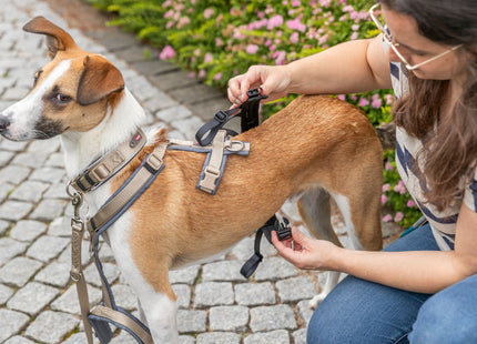 Schwarzer Panik-Adapter Stay für Geschirre von Trixie