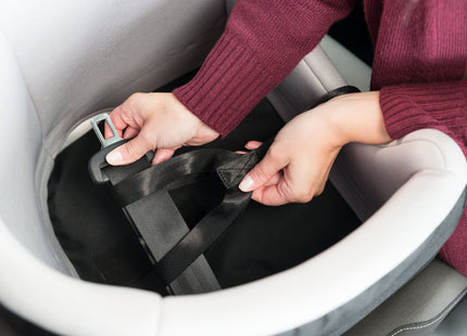 Bequemer Trixie Autositz in Schwarzgrau für unterwegs