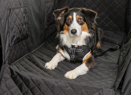 Trixie Auto-Schondecke – schwarz, 1.64×1.61m