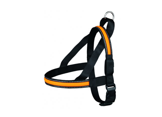 Norwegergeschirr mit USB-Beleuchtung in Schwarz-Orange, ideal für sicheres Spazierengehen bei Nacht