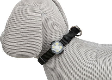 Trixie Flasher USB - hochwertiger LED-Hundeanhänger mit USB-Ladekabel