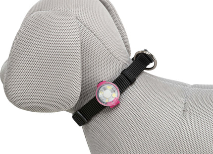 Trixie Flasher USB - hochwertiger LED-Hundeanhänger mit USB-Ladekabel