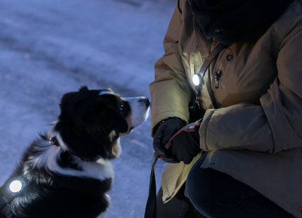 Trixie Flasher USB - hochwertiger LED-Hundeanhänger mit USB-Ladekabel