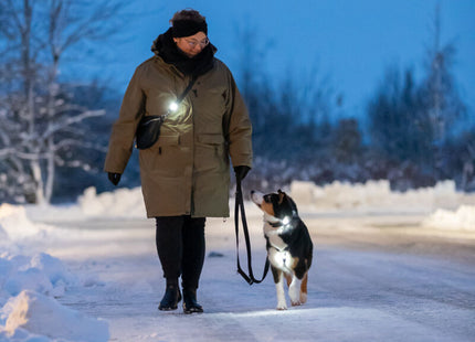 Trixie Flasher USB - hochwertiger LED-Hundeanhänger mit USB-Ladekabel
