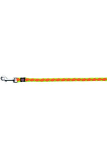 Halsband für Hunde in Neonorange und Neongrün, sicher und stylisch