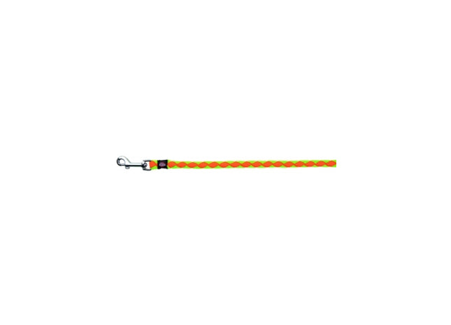 Halsband für Hunde in Neonorange und Neongrün, sicher und stylisch