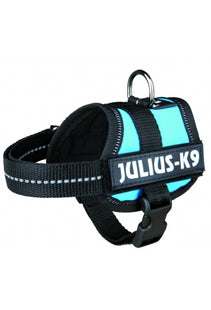 Blau-grünes Julius-K9 Powergeschirr für kleine Hunde