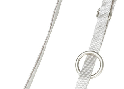 Weiches Welpen-Geschirr mit Leine in Hellgrau von Trixie Junior