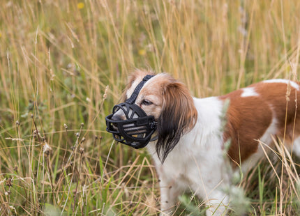 Flexibler Maulkorb aus schwarzem Silikon für Hunde von Trixie
