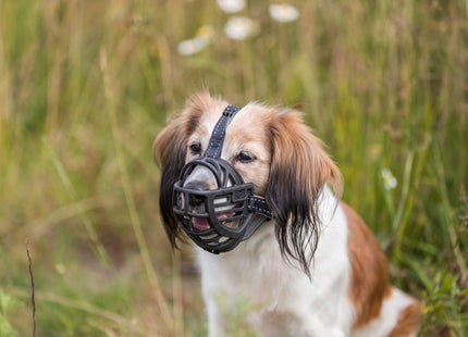 Flexibler Maulkorb aus schwarzem Silikon für Hunde von Trixie