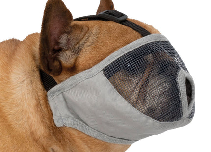 Maulkorb für kurznasige Hunde in Grau - sicher und bequem für Spaziergänge