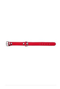 Rotes Trixie Basic Halsband für Hunde - klassisch und stilvoll