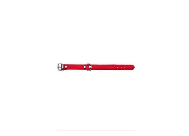 Rotes Trixie Basic Halsband für Hunde - klassisch und stilvoll