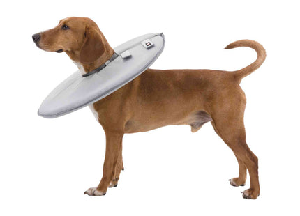 Schützender grauer Trixie Schutzkragen für Haustiere