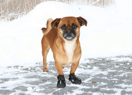 Trixie 2 Pfotenschutz Walker Active 2 Stk. Schützende Hundepfotenstulpen für aktive Hunde