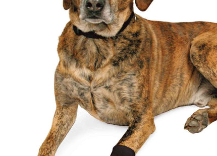 Trixie 2 Walker Care Comfort Schutzstiefel aus Nylon