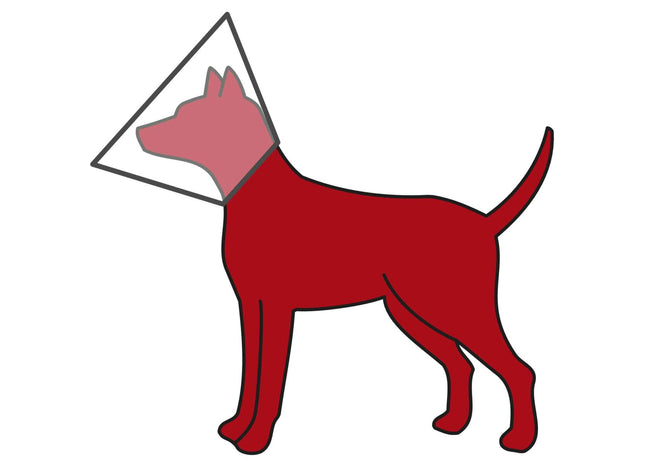 Trixie Schutzkragen 50 cm - Idealer Schutz für Haustiere nach Operationen oder Verletzungen