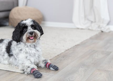 Anti-Rutsch Hundesocken in Grau, 2 Stück, von Trixie