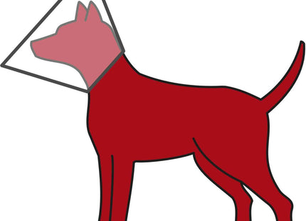 Trixie - Schutzkragen, Kunststoff, mit Klettverschluss