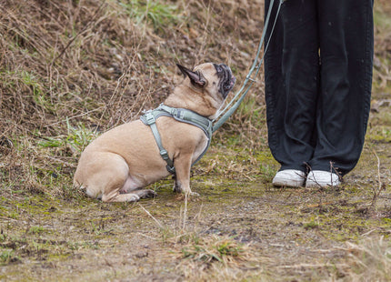 Trixie Premium FlexMesh Geschirr – Salbei, XS-S, breit