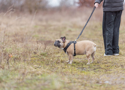 Trixie Premium FlexMesh Geschirr – schwarz, XS-S